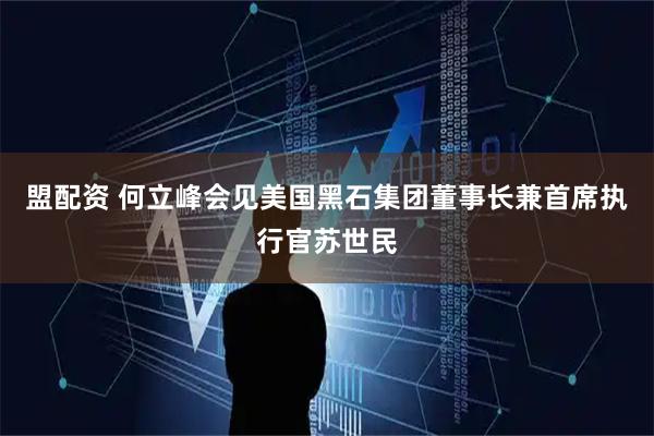 盟配资 何立峰会见美国黑石集团董事长兼首席执行官苏世民