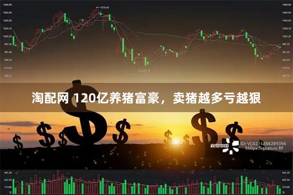 淘配网 120亿养猪富豪，卖猪越多亏越狠